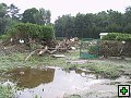 thn_IMG_1092.jpg
